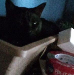 Meet your Posher, Karen